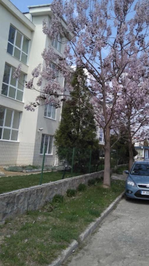 Rutland Sp Apartments Ravda Dış mekan fotoğraf